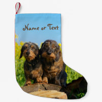 Two Cute Dachshunds Dogs Dackel Friends Pet - Name