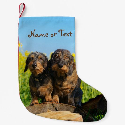 Two Cute Dachshunds Dogs Dackel Friends Pet - Name Kleine Kerstsok (Voorkant)