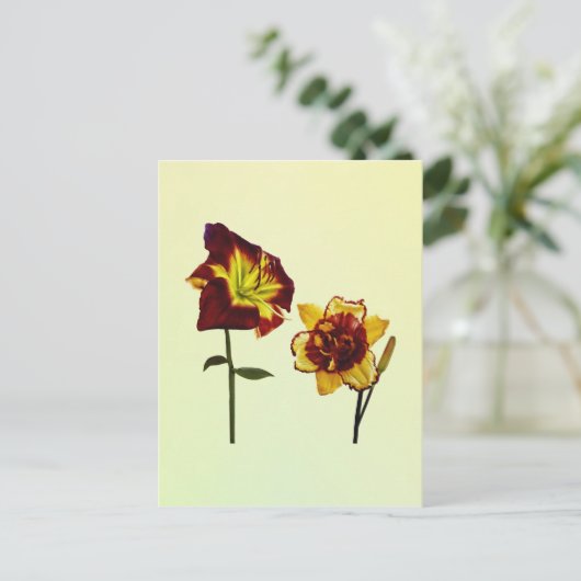 Two Daylilies having a Chat Briefkaart (Staand voorkant)