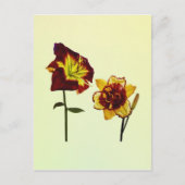 Two Daylilies having a Chat Briefkaart (Voorkant)