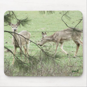 Two Deer en pine Muismat