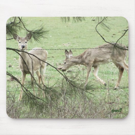 Two Deer en pine Muismat (Voorkant)
