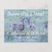 Two Deer Save the Date Briefkaart (Voorkant)
