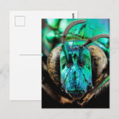 Two-Faced Bee Close-Up Briefkaart (Voorkant / Achterkant)