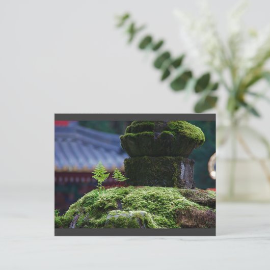 Two Fern Briefkaart (Staand voorkant)