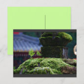 Two Fern Briefkaart (Voorkant / Achterkant)