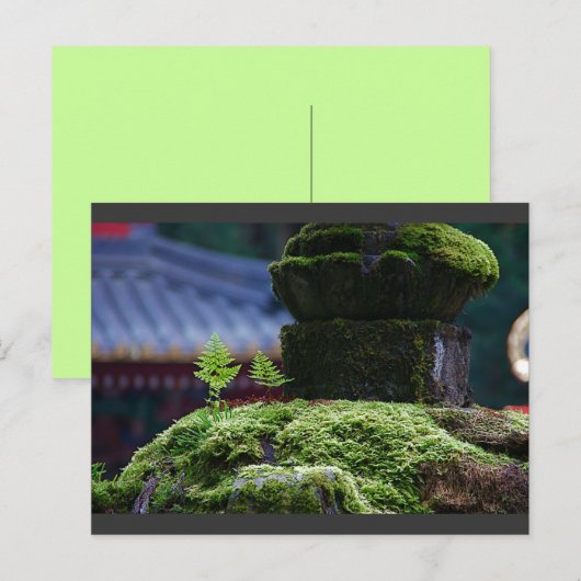 Two Fern Briefkaart (Voorkant / Achterkant)