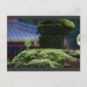 Two Fern Briefkaart (Voorkant)