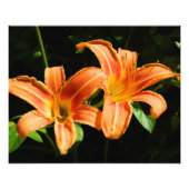 Two Flowers Foto Afdruk (Voorkant)