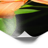 Two Flowers Foto Afdruk (Hoek)