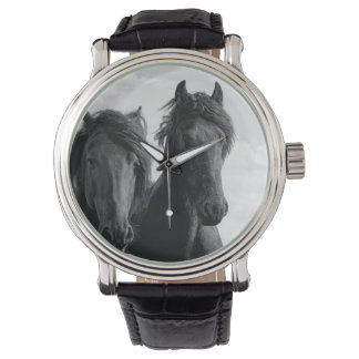 Two Friesian stallions. Horloge