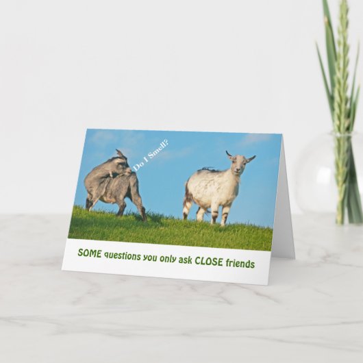 "TWO GOATS" HUMOR / VRIENDSCHAP KAART (Voorkant)