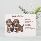 Two Graceful Yorkshire Puppies Kaart (Staand voorkant)