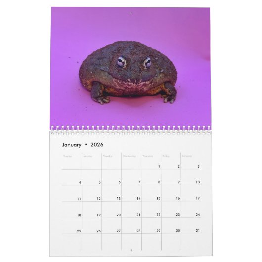 Two Green Frogs' 2026 Calendar Kalender (Jan 2026)