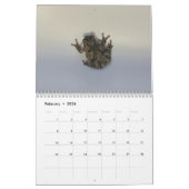 Two Green Frogs' 2026 Calendar Kalender (Feb 2026)