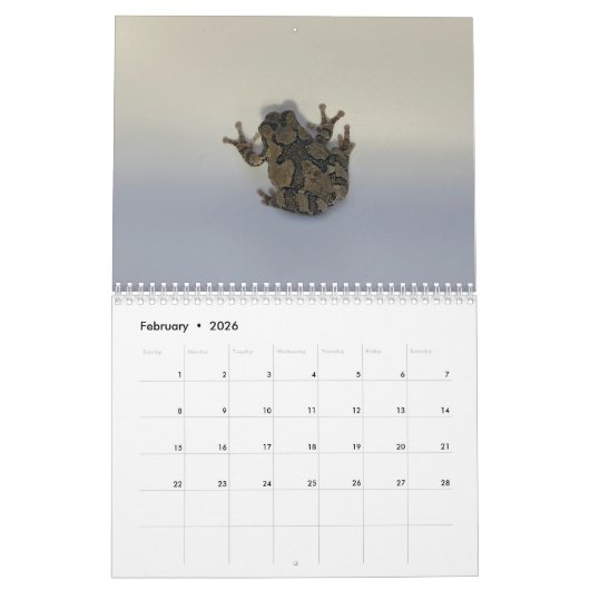 Two Green Frogs' 2026 Calendar Kalender (Feb 2026)