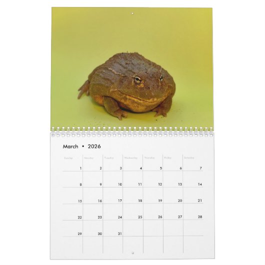 Two Green Frogs' 2026 Calendar Kalender (Mar 2026)