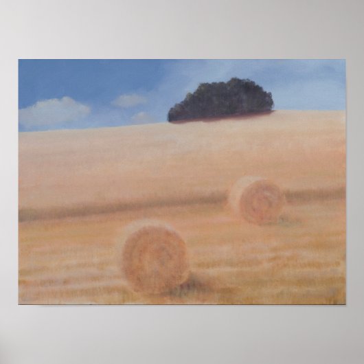 Two Hay Bales 2012 Poster (Voorkant)