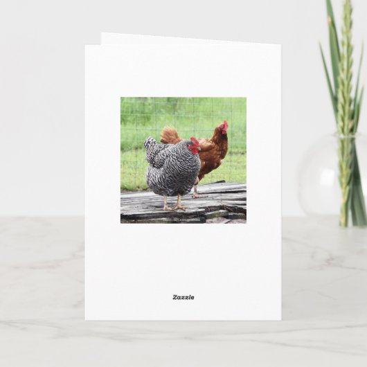 Two Hens Happy Birthday Humor Kaart (Achterkant)