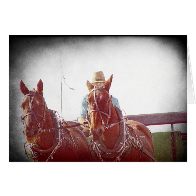 Two Horse Amish Team Faux  (Voorkant Horizontaal)