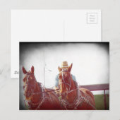Two Horse Amish Team Faux Briefkaart (Voorkant / Achterkant)
