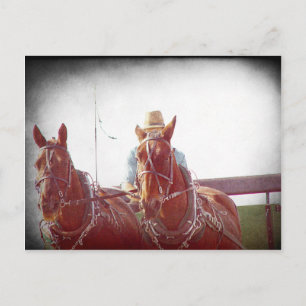 Two Horse Amish Team Faux Briefkaart