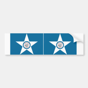 TWO Houston Flag Bumpersticker