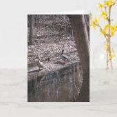 "Two Hyland Lake Mallards" - Hartelijk dank Kaart (Gele Bloem)