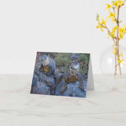 Two Iguanas Greeting Card Kaart (Gele Bloem)