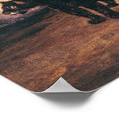 Two Jaguars from Peru Poster (Hoek)