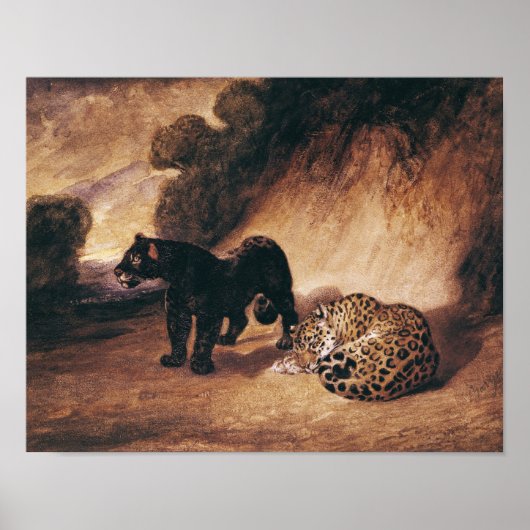 Two Jaguars from Peru Poster (Voorkant)
