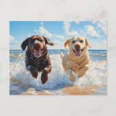 Two Labrador Retrievers on Beach Briefkaart (Voorkant)