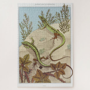 Two Lizards Vintage Illustration Legpuzzel