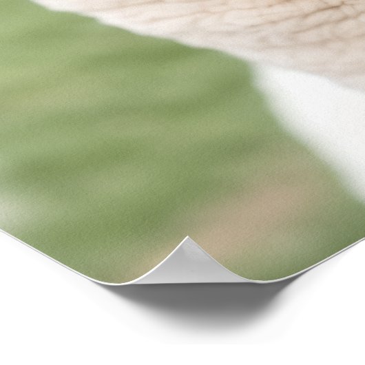 Two Llamas Poster (Hoek)