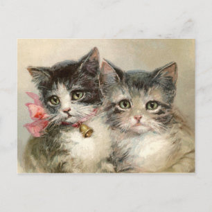 Two lovely Victorian kittens. Briefkaart