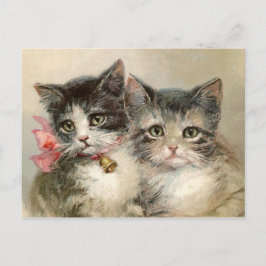 Two lovely Victorian kittens. Briefkaart