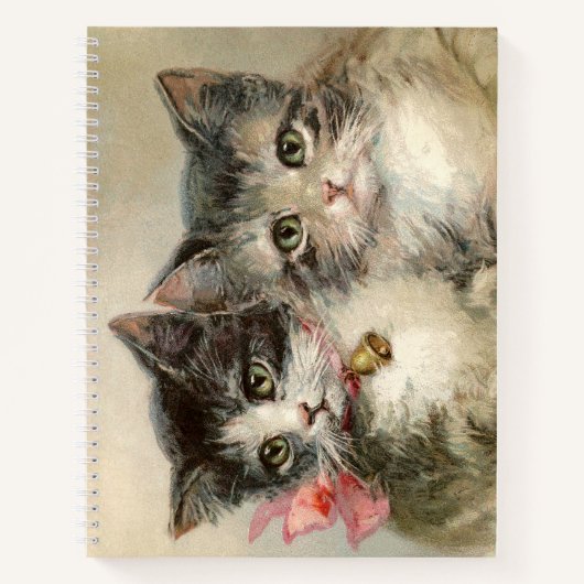 Two lovely Victorian kittens. Notitieboek (Voorkant)