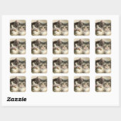 Two lovely Victorian kittens Vierkante Sticker (Vel)