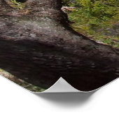 Two Meeting Street Inn, Charleston, SC Poster (Hoek)