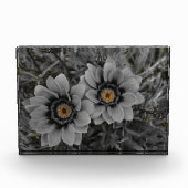 Two of a Kind Fotoblokken (Voorkant)