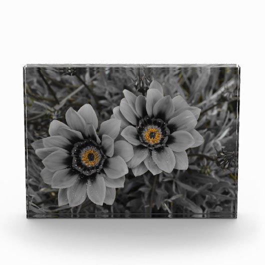 Two of a Kind Fotoblokken (Voorkant)