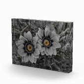 Two of a Kind Fotoblokken (Rechts)