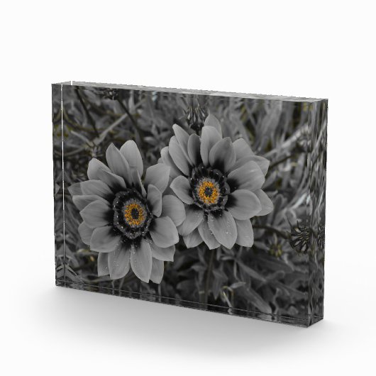 Two of a Kind Fotoblokken (Rechts)