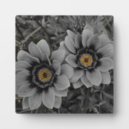 Two of a Kind Fotoplaat