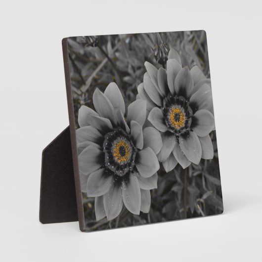 Two of a Kind Fotoplaat (Voorkant)