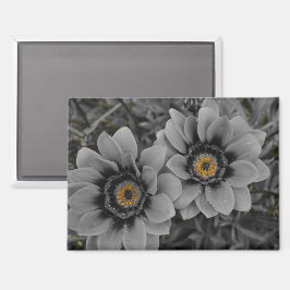 Two of a Kind Magneet