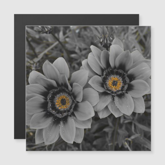 Two of a Kind Magnetic Card (Voorkant / Achterkant)