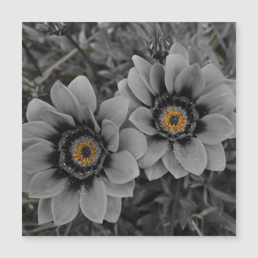 Two of a Kind Magnetic Card (Voorkant)