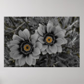 Two of a Kind Poster (Voorkant)