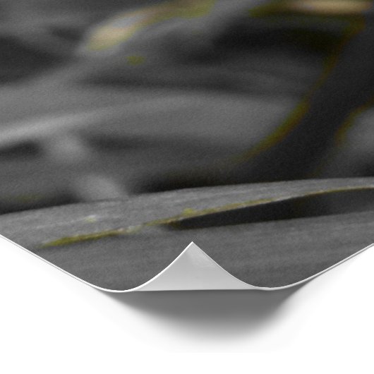 Two of a Kind Poster (Hoek)